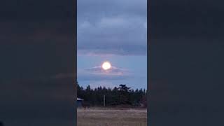 Beautiful moon tonight here on #Whidbey Island