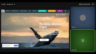 User Experience Engineering (User Testing)