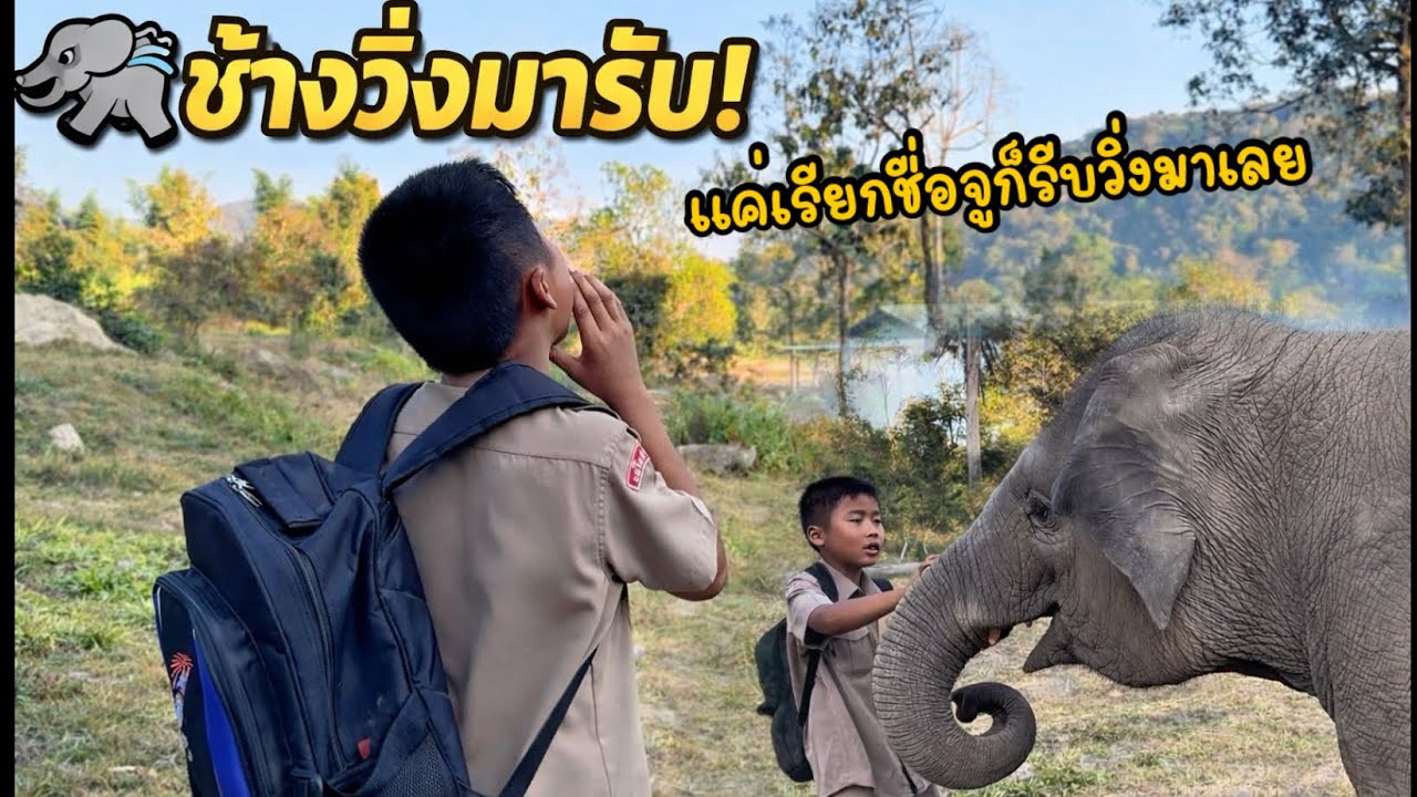 ใครจะคิด! แค่พี่บ๊อบก็ลับจากโรงเรียน น้องจูเนียร์จะดีใจขนาดนี้