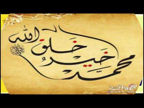 قصيدة أنت الحبيب كلمات سلامة حسن