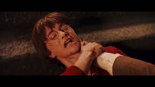 Warriors Harry Potter