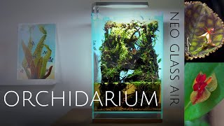 Building an Orchidarium for miniature orchids  DOOA Neo Glass Air Terrarium/Paludarium