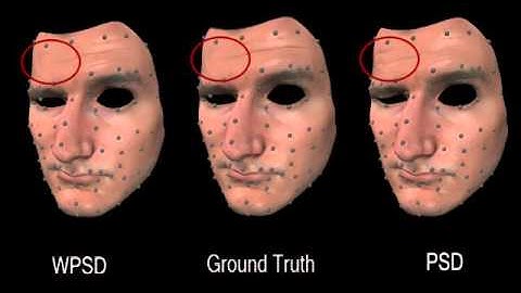 Pose-Space Animation and Transfer of Facial Details (SIGGRAPH 2008)