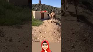 اندفاع بلا حساب… وسقوط مفاجئ!