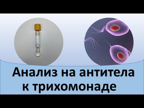 Анализ крови на