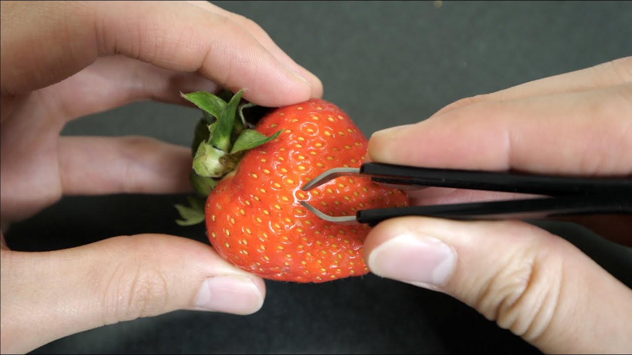 イチゴの種を全て取る動画 Youtube