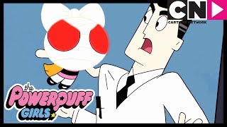 Powerpuff Girls | The Professor Gets ANGRY! | Cartoon Network