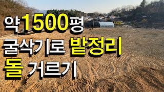 채작업 밭 정리 3일 작업 맡았습니다.