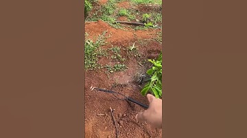 Cách lựa chọn vật tư chuẩn cho hệ thống tưới cà phê , có thật sự cần béc bù áp khi tưới cây