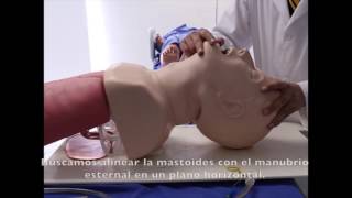 Intubación Endotraqueal