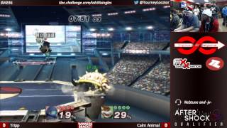IaB36 PM - Tripp (Squirtle) vs Calm Animal (Bowser) - Winners Bracket