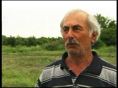 ყვარელში მეხის დაცემას 54 წლის მამაკაცი ემსხვერპლა