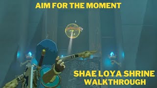 Zelda: Breath Of The Wild: Shae Loya Shrine Solution