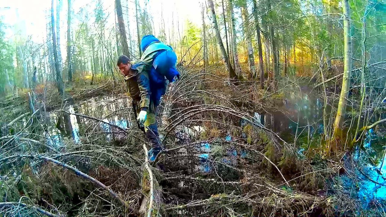 Камазы по болоту