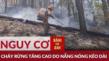 Nắng nóng kéo dài làm tăng nguy cơ cháy rừng | Đảng với Dân