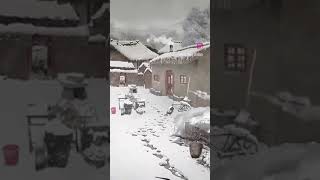 Kış Kış Gibi Yaz Yaz Gibi Olmali