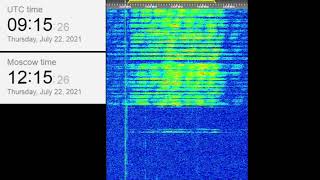 The Buzzer/UVB-76(4625Khz) July 22, 2021 09:15UTC Voice message