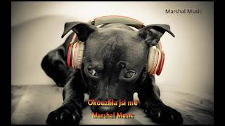 Marshal Music - Okouzlila jsi mě