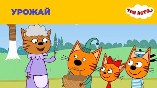 Три кота 20 серия Урожай Мультфильм для детей