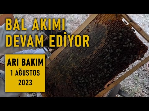 ARI BAKIM 1