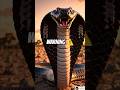 Jungle Ka Khamosh Pehredar 🐍 | Powerful Snake Warning #snake #shorts #ai