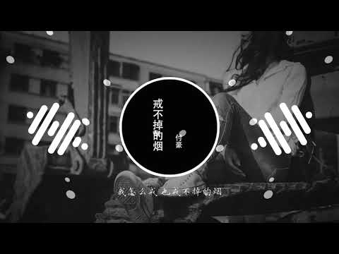 2020華語網絡流行音樂 ||《戒不掉的煙》|| 付豪 || 動態歌詞