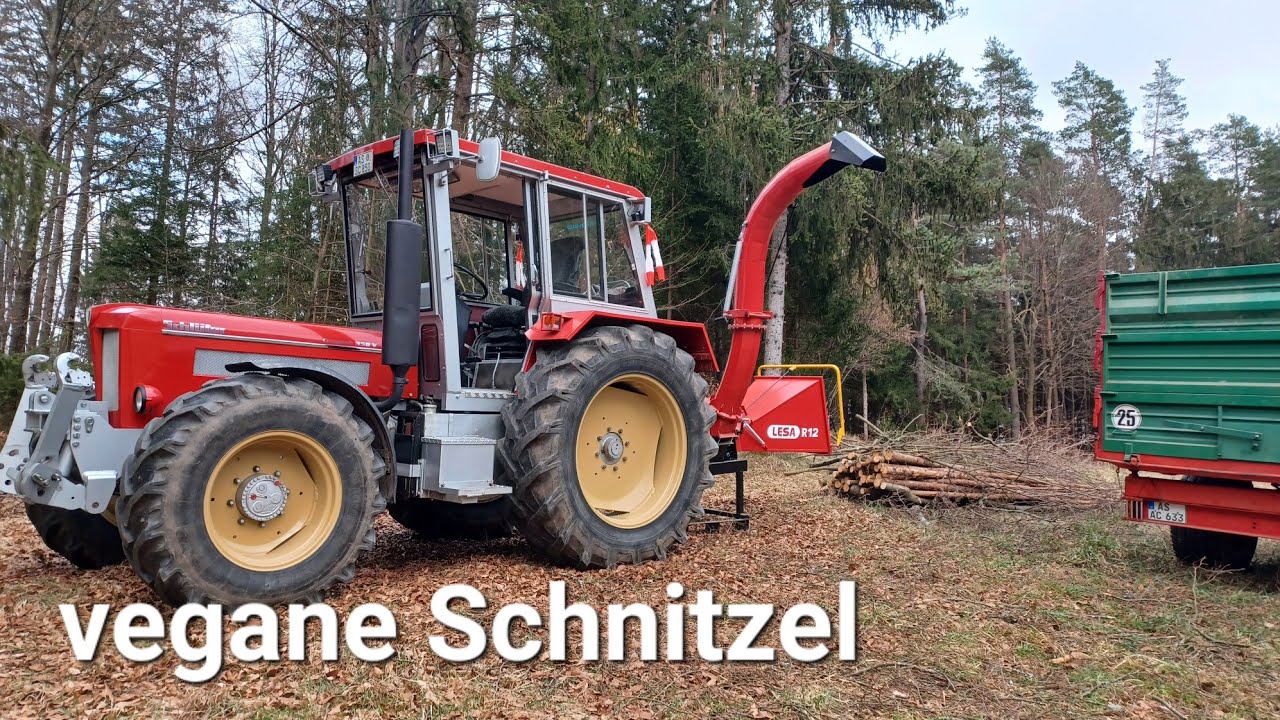 Qualitäts-Hackschnitzel mit meinem Schneckenhacker