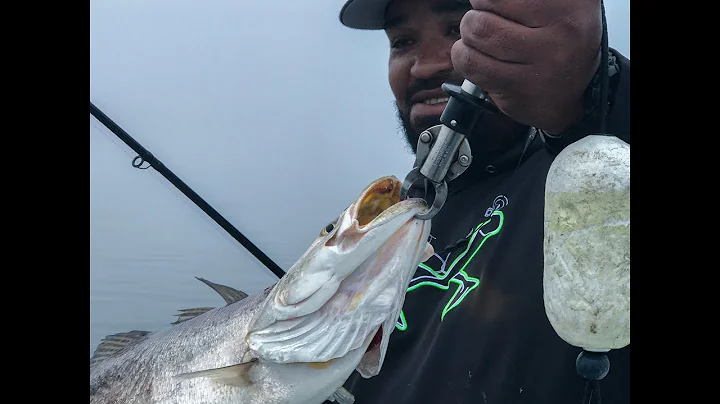 Dockside TV "Big Trout Before the Freeze"