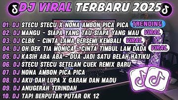DJ TIKTOK TERBARU 2025🎵DJ STECU STECU X NONA AMBON PICA PICA🎵DJ SIAPA YANG TAU SIAPA YANG MAU