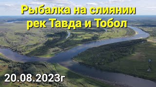 Рыбалка на слиянии рек Тавда и Тобол возле деревни Тараканова. 20 августа 2023 года.