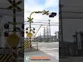 【踏切 電車】なにが通るかな？？？【ふみきりショート動画280】 #shorts