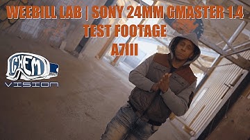 WEEBILL LAB | SONY 24MM GMASTER 1.4 TEST FOOTAGE A7III