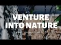 NATURE | CINEMATIC 4K FILM | #Nature #Cinematicfilm #4K