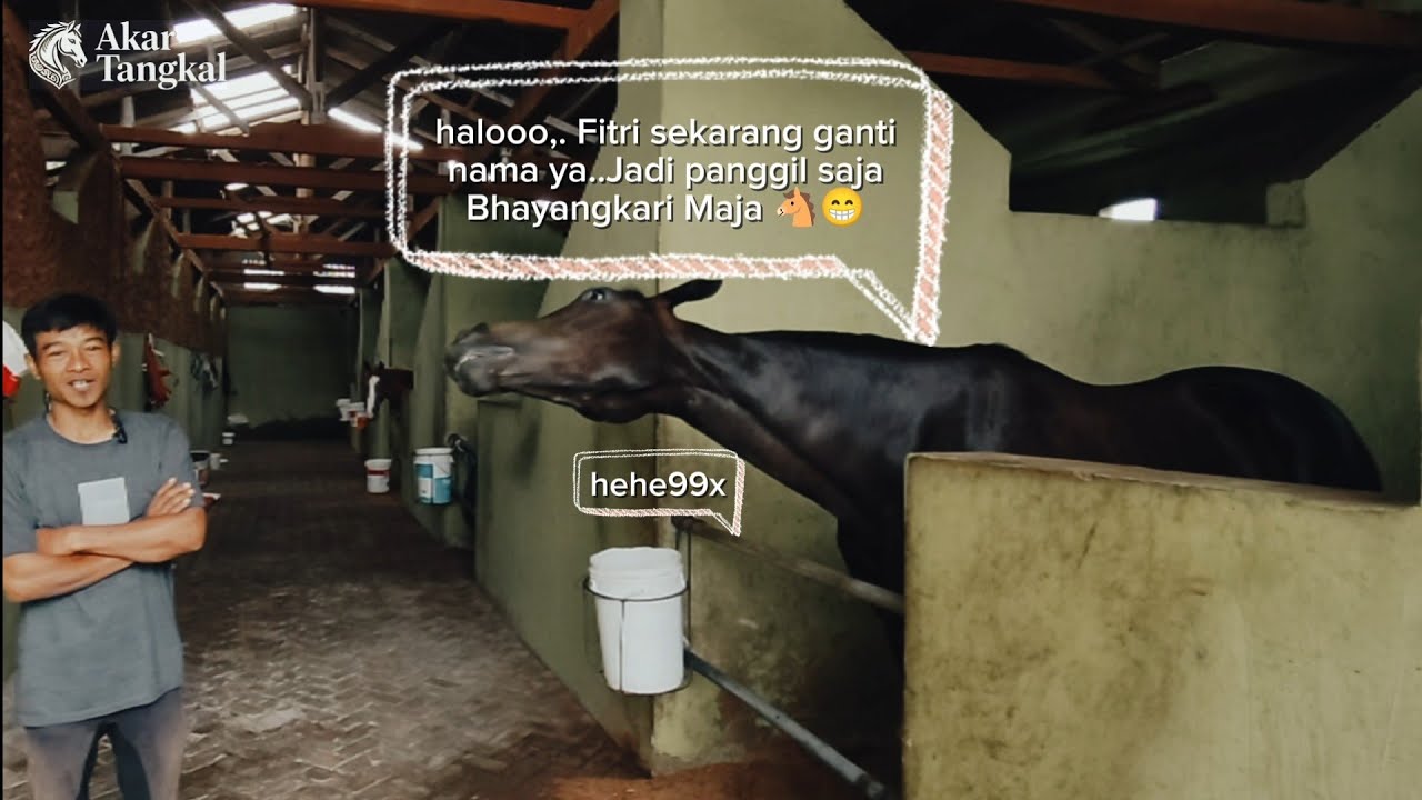 Menuju Jateng Derby 2026 | Antara Bhayangkari Maja dan Bhayangkara Maja