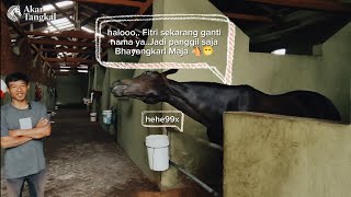 Download Lagu Menuju Jateng Derby 2026 | Antara Bhayangkari Maja dan Bhayangkara Maja MP3