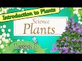 All About Plants: From Growth to Nutrition