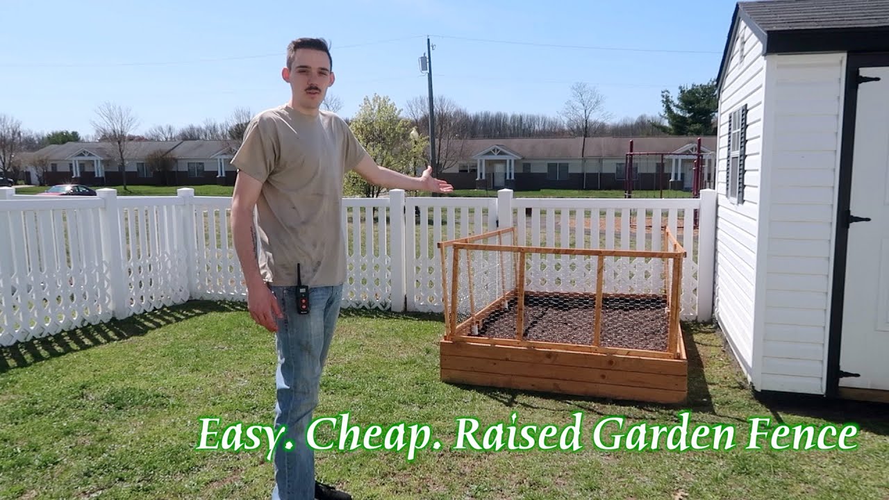 Easy Cheap Raised Garden Bed Fence (UPGRADE) - YouTube