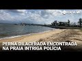 Cena de horror na praia: pedestre encontra perna humana na areia