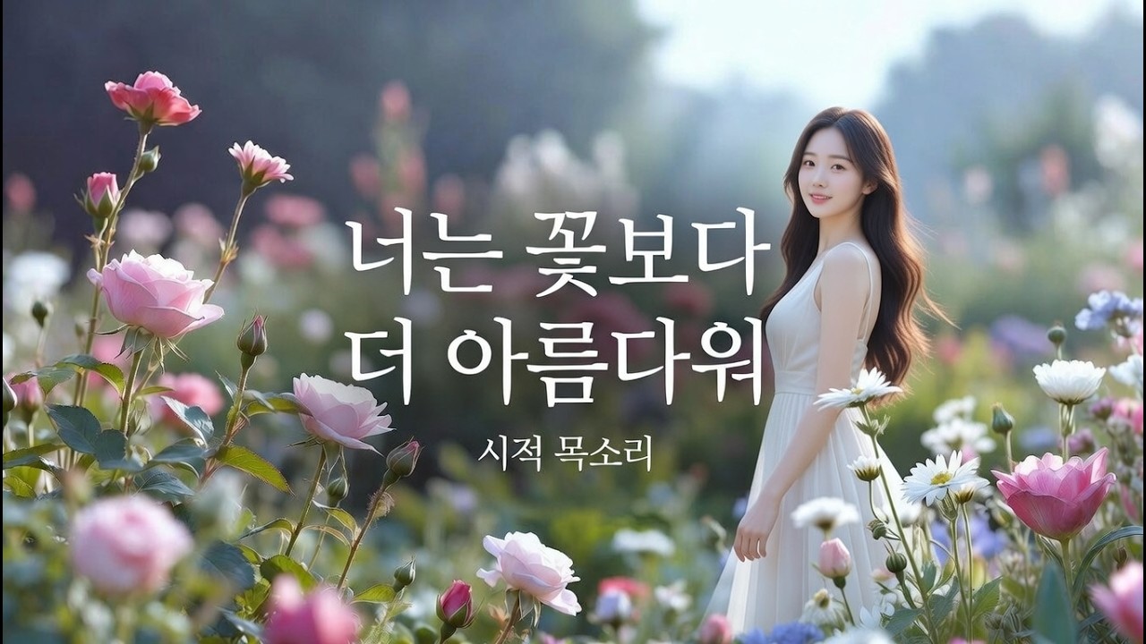 명품 트로트 메들리