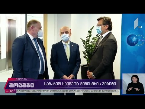 საგარეო საქმეთა მინისტრის ვიზიტი