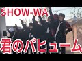 SHOW-WA『君のパヒューム』ところざわサクラタウン 2026.02.22