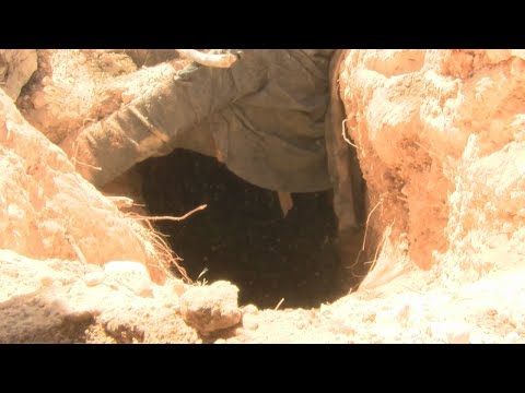 Clovis man found living in underground tunnel he dug himself