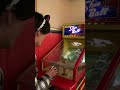 あ、やべ#ディズニー #ディズニーランド #ディズニーシー #ミニゲーム