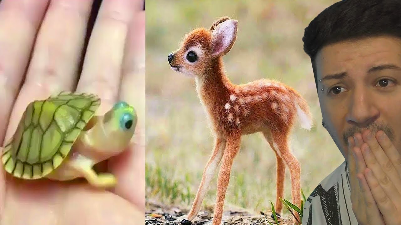 Gli Animali Piu Piccoli E Carini Di Sempre Youtube