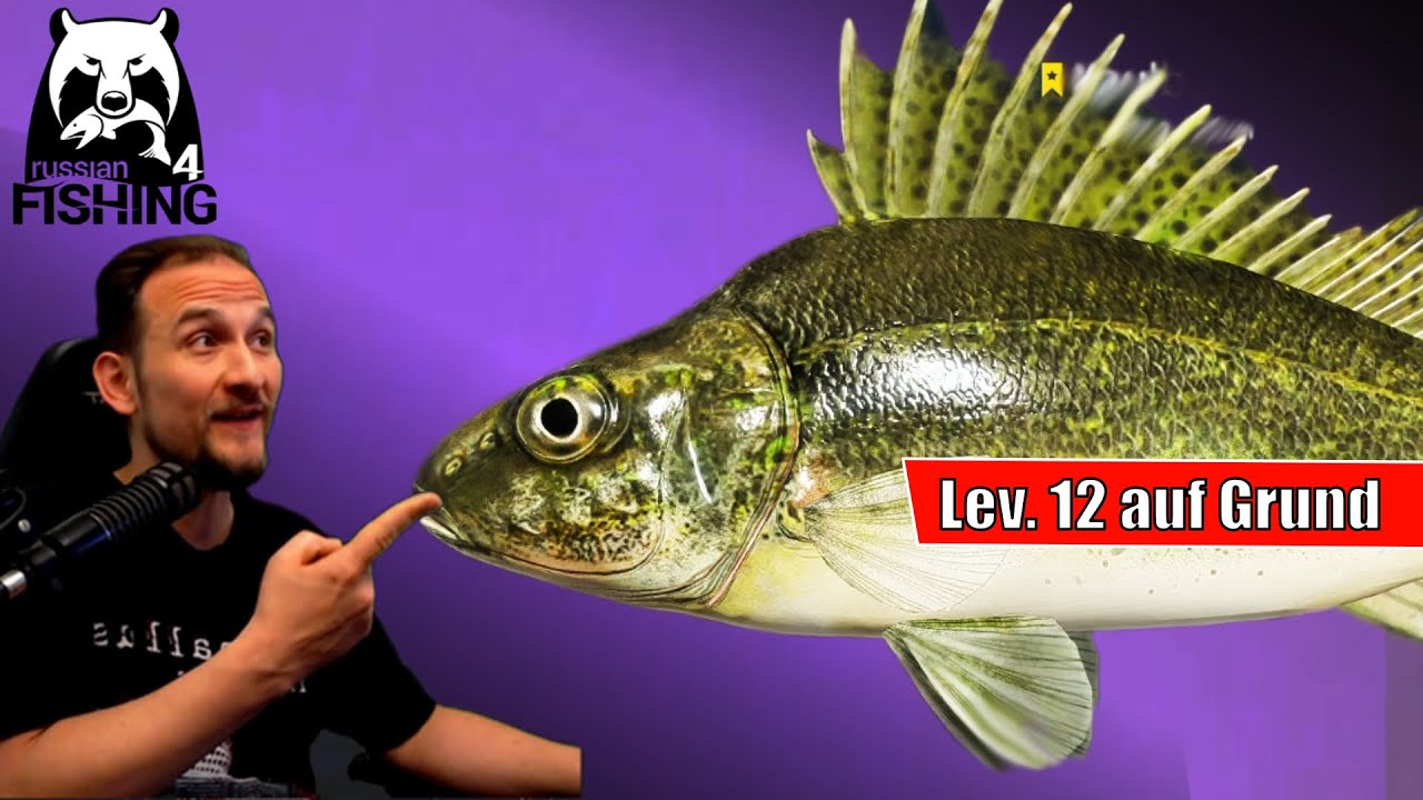 Russian Fishing 4 - Belaja - Grundangeln ab Level 12