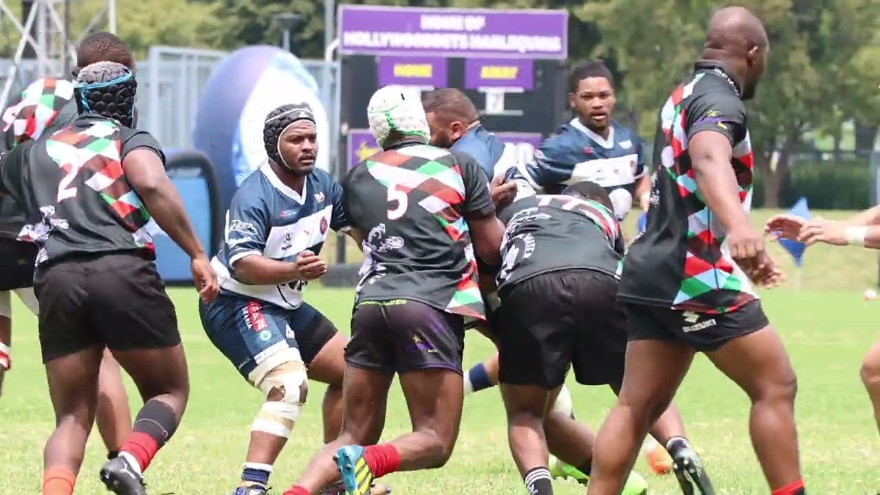 HARLEQUINS VS NORTHAM RHINOS