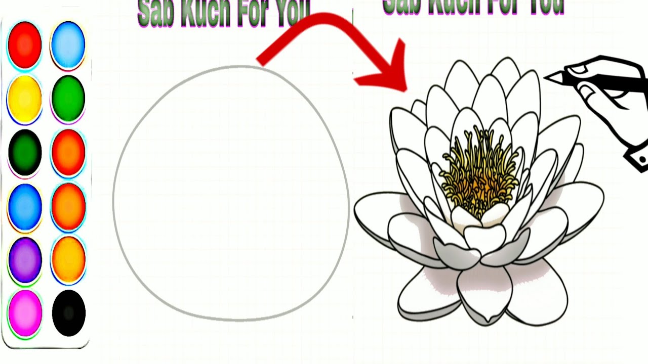 How to Draw beautiful flower 🌸 lotus very easy Step by