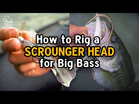 How To Rig A Scrounger Head for Big Bass 