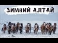 АЛТАЙ ЗИМОЙ очень УДИВИЛ! Я ВЛЮБЛЕН !