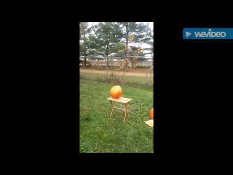 Travis smashing pumpkin with baseball bat.